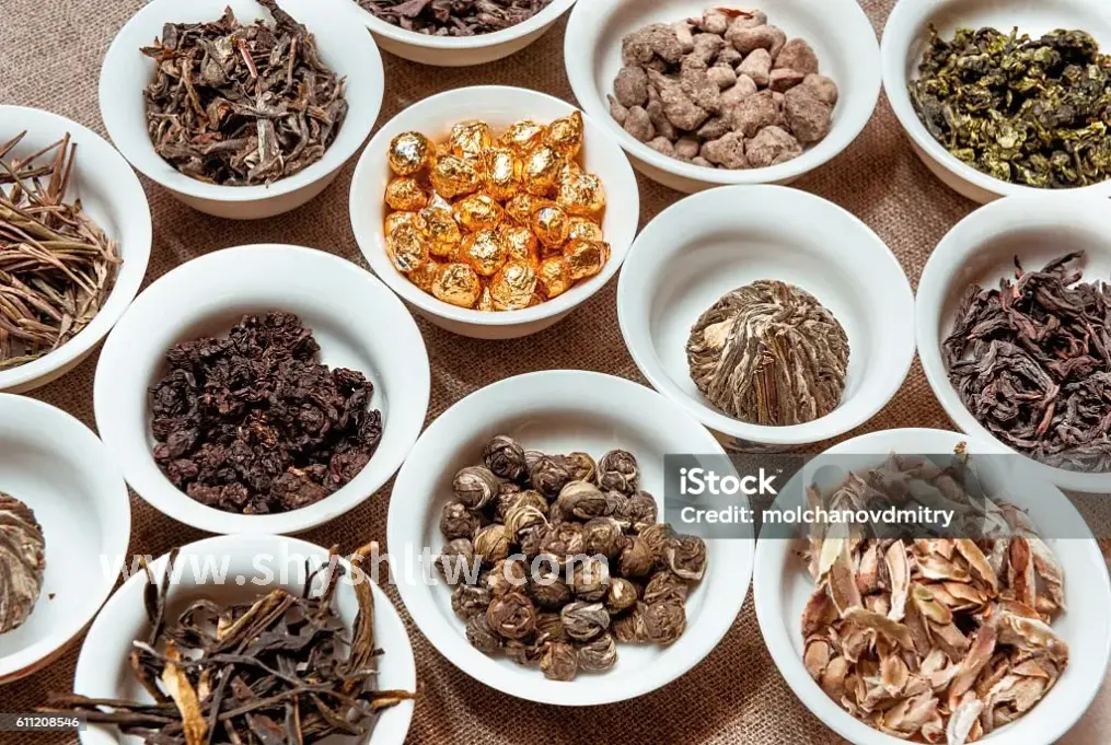 上海桑拿