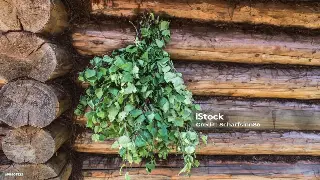 告别“假精致”，桑拿房设备升级的正确姿势：别只盯着价格看！ 图片