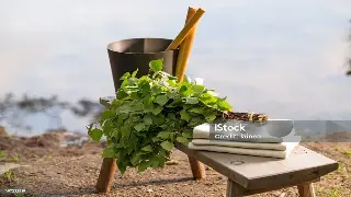 桑拿浴：解锁身体活力，告别亚健康的神奇法宝